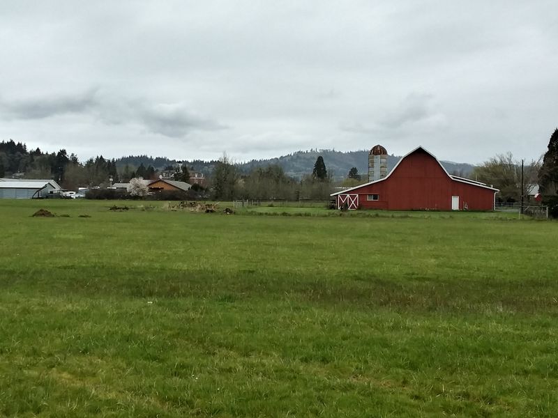 The Unhurried Pace of Life That Invites Reflection