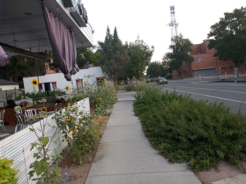 Art and Culture Without the Frenzy