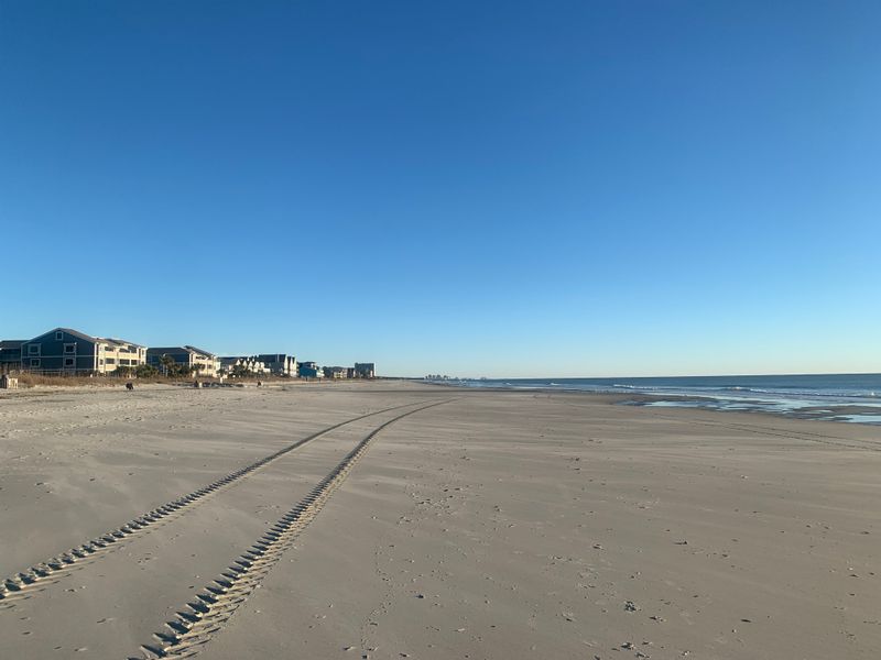 Sea Turtle Stewardship You Can See