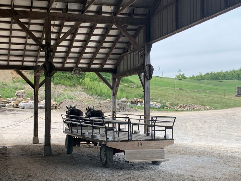 Touching or Approaching Horses and Buggies