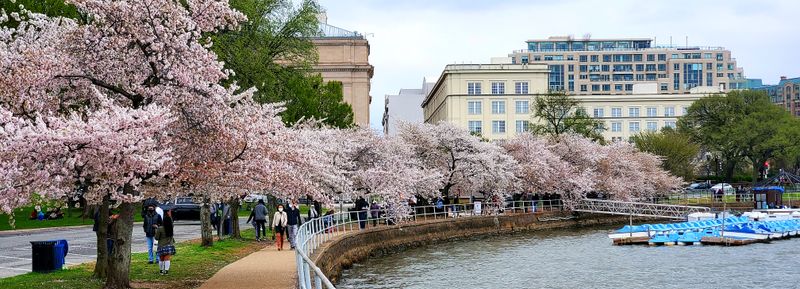 Walkable City Layout