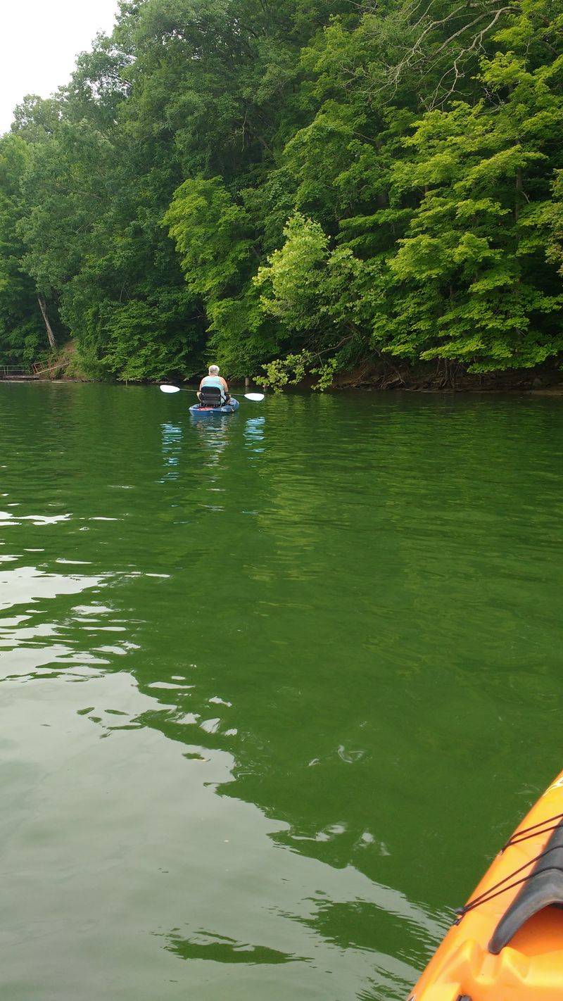 Blackburn Fork Scenic River