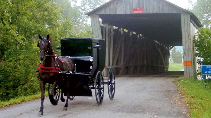 Believing Everything Is Handmade by the Amish