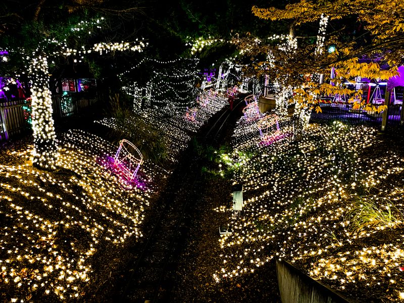 Affordable Pricing Compared to Other Major Holiday Attractions