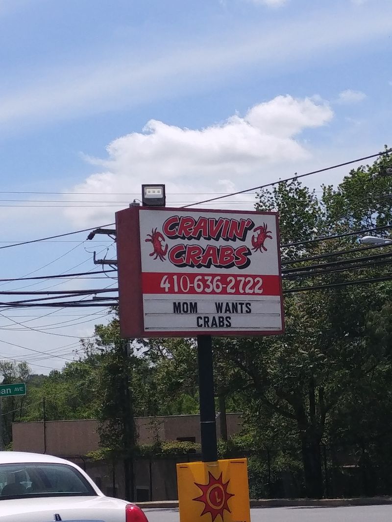 Stormy Days Short Hours And Crab Counter Survival