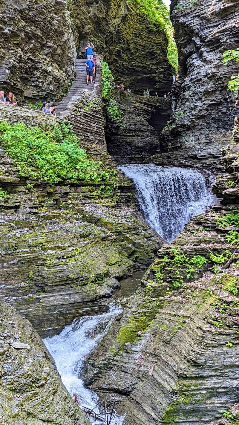 Watkins Glen