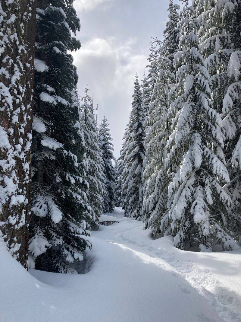 Snowshoeing to Lava Lake from Big Springs Sno Park