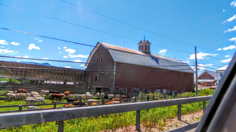 Farm Stands and Agricultural Heritage That Endures