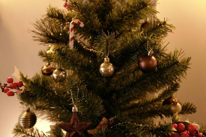 Why The Traditions Feel Timeless Here