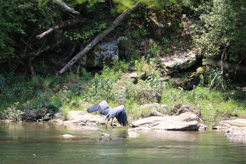 Beavers Bend State Park Winter Trails