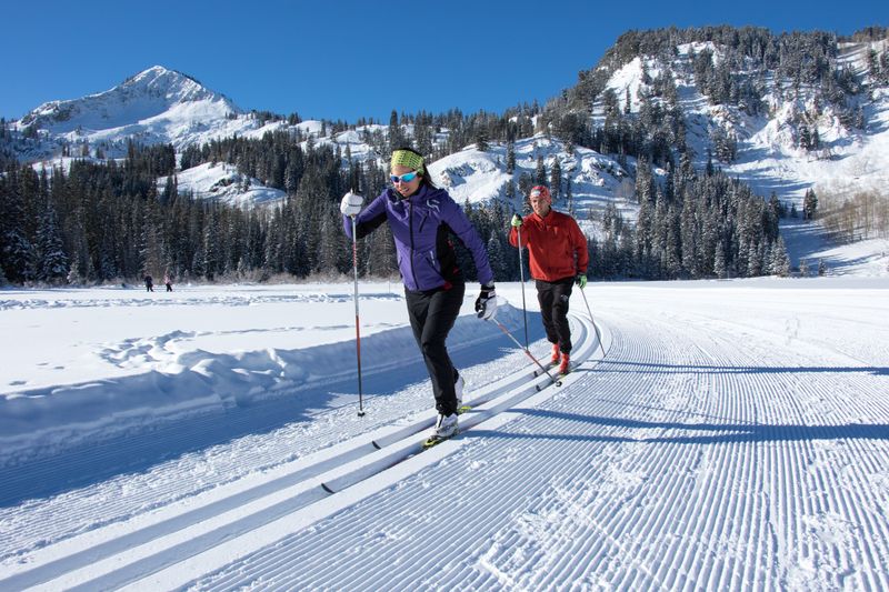 Winter Solitude and Cross-Country Skiing