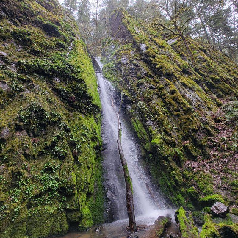 Winter Hiking to Soda Creek Falls
