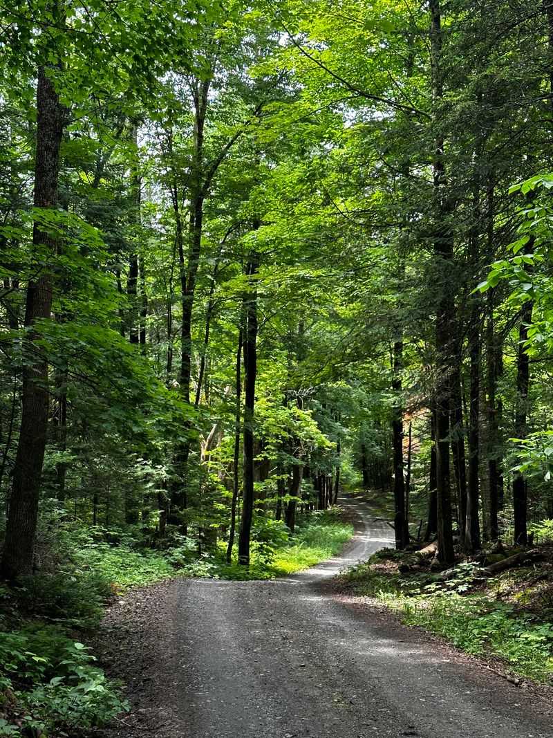 Greensboro by Caspian Lake