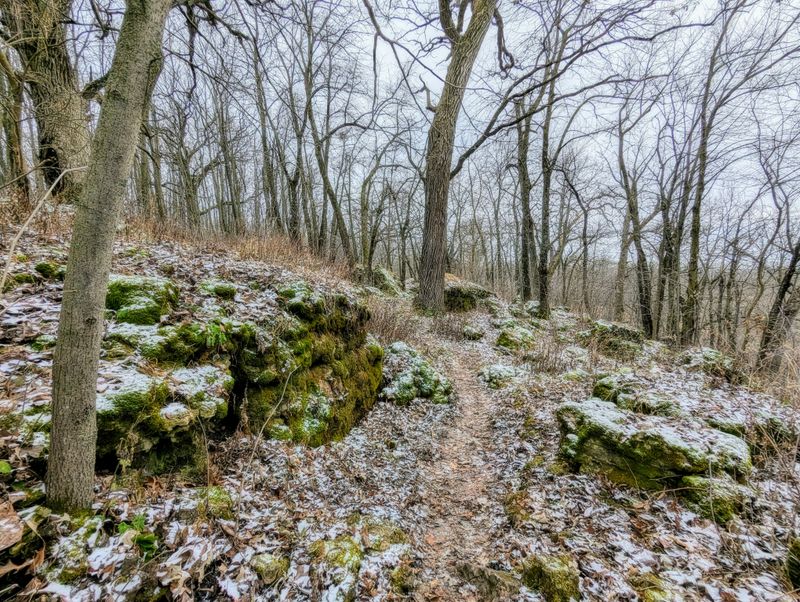 The Speed of Silence: Slowing Down to Winter's Pace