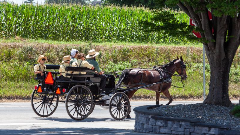 Villages of Bird in Hand, Strasburg, and Intercourse