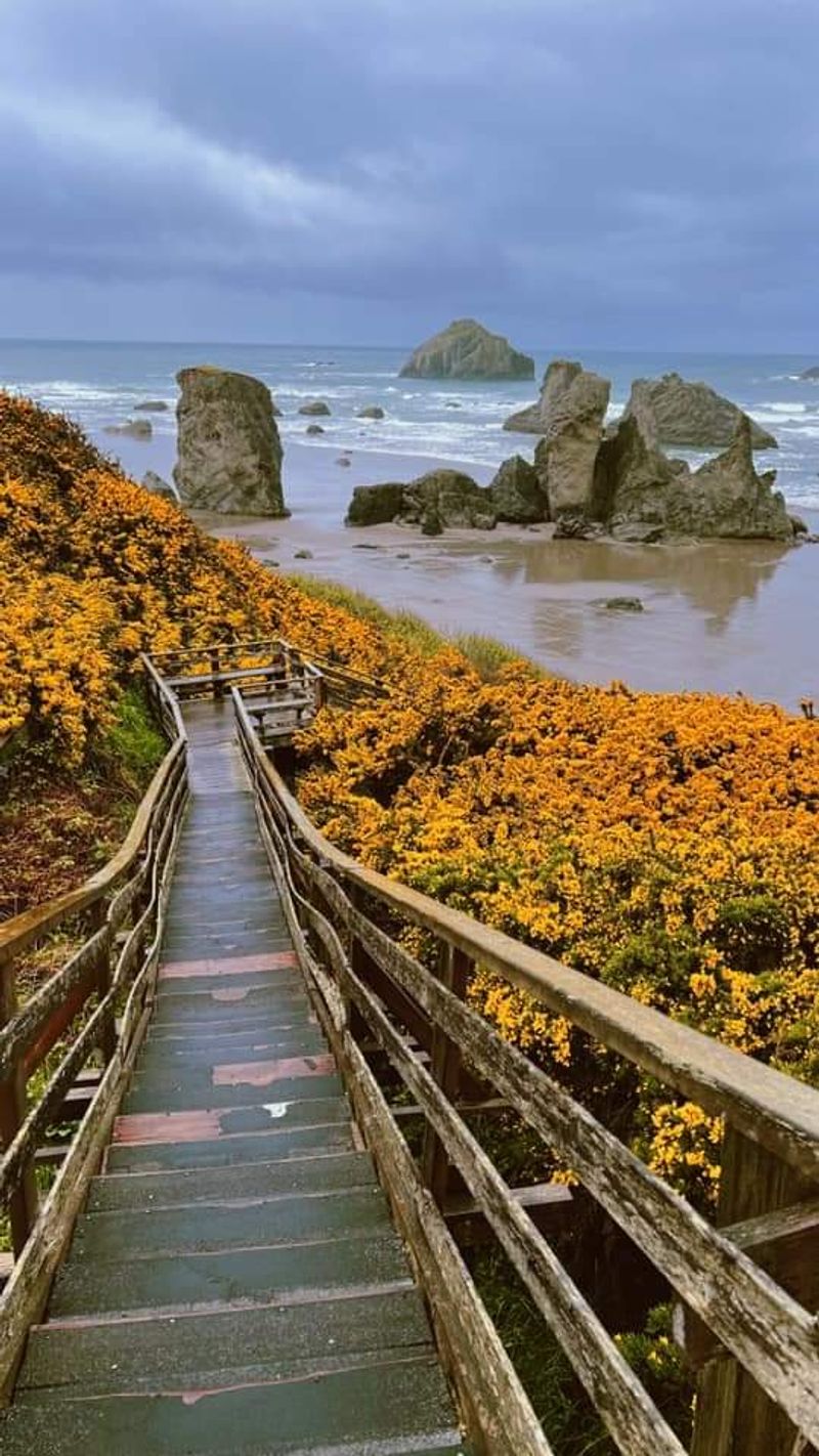 Bandon Dunes Golf Resort’s Coastal Courses