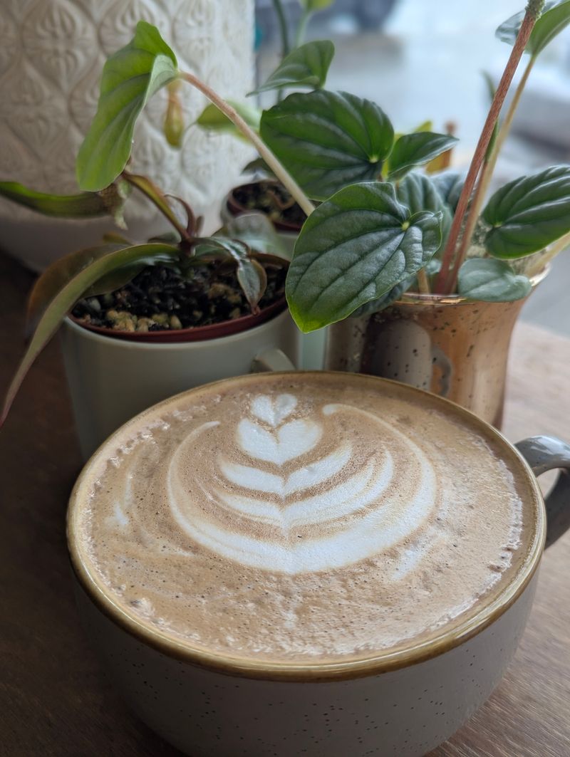 Baristas Who Are True Coffee Artists With Serious Skills