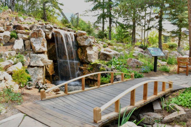 Betty Ford Alpine Gardens in winter