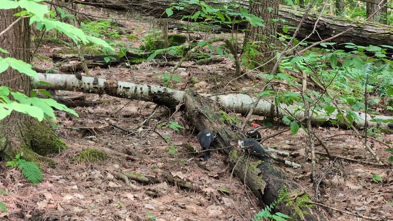 Unexplained Happenings