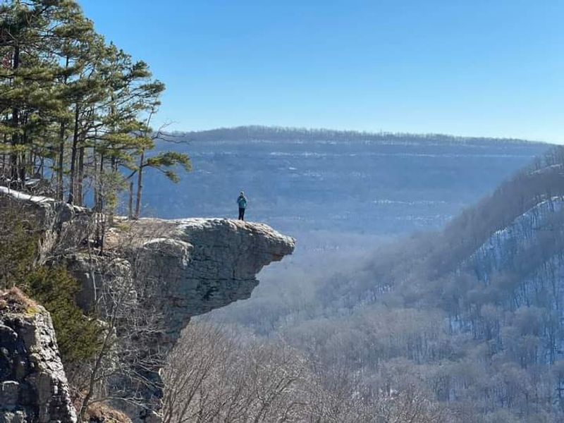 Turpentine Creek Wildlife Refuge, big landscapes