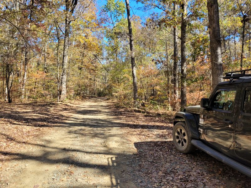 Uwharrie National Forest Lanes That Feel Timeless