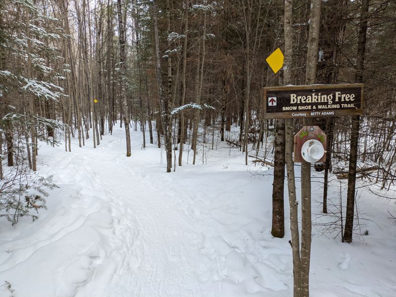 Snowshoeing Adventures Across Winter Wonderlands