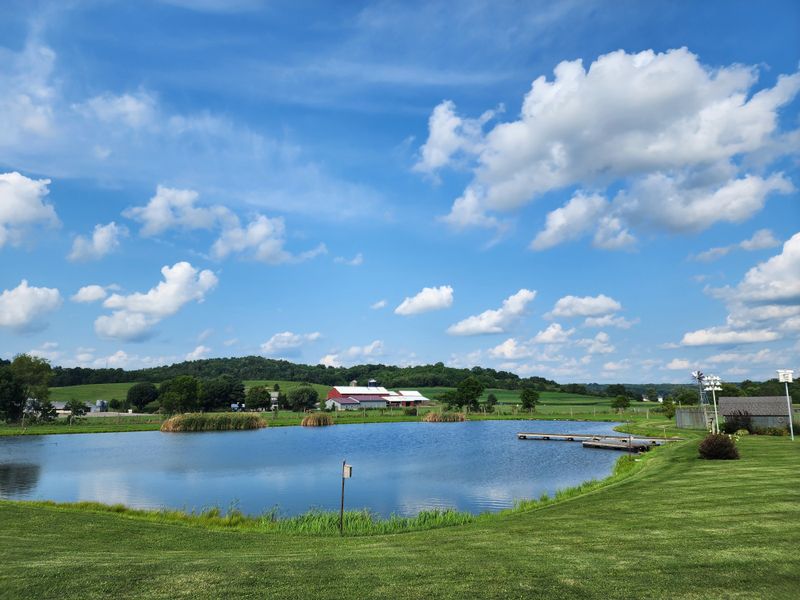 Misreading Reflectors and Flashing Lights Rules