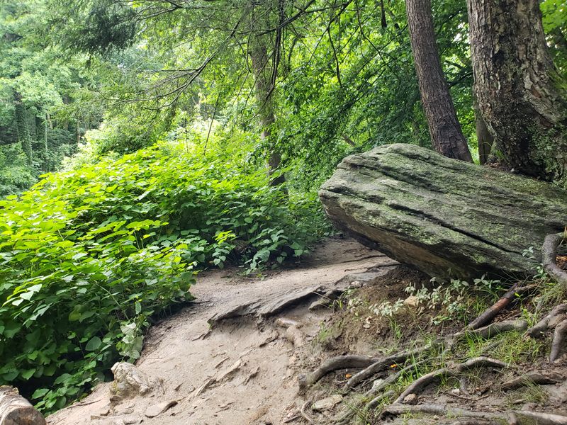 Challenging Hiking Trails With Rewarding Views