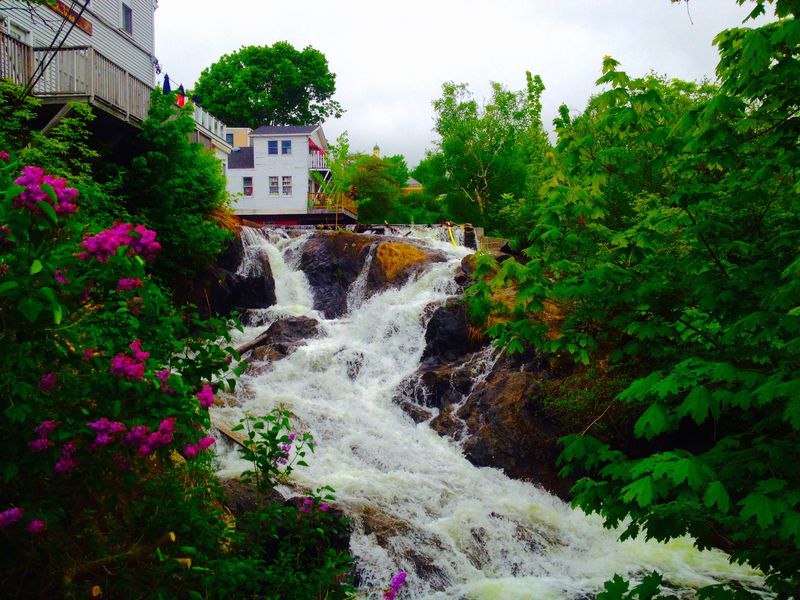 Megunticook River and Harbor Falls