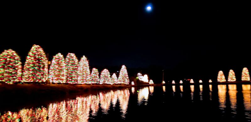 Timing the Night Lights