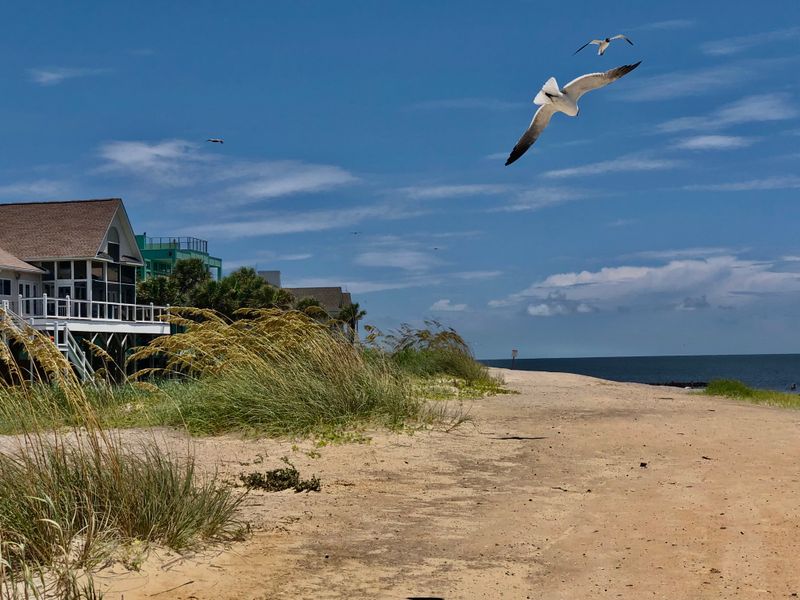 Edisto Island and Edisto Beach