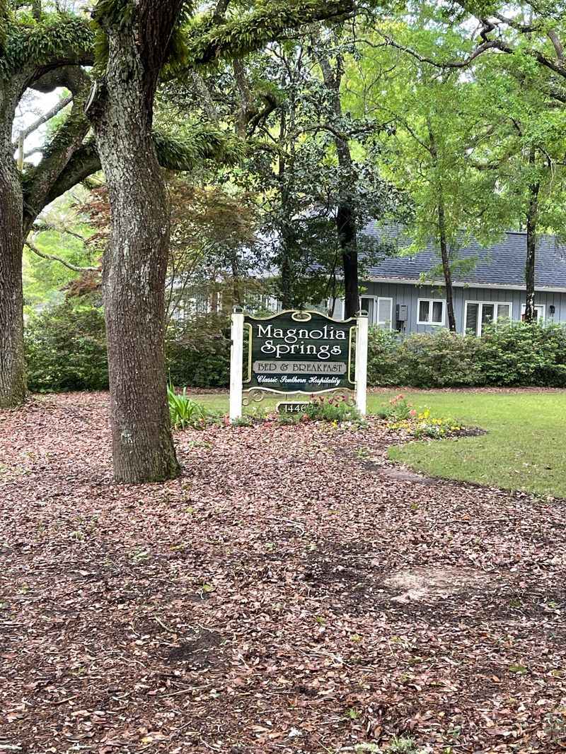 Magnolia Springs