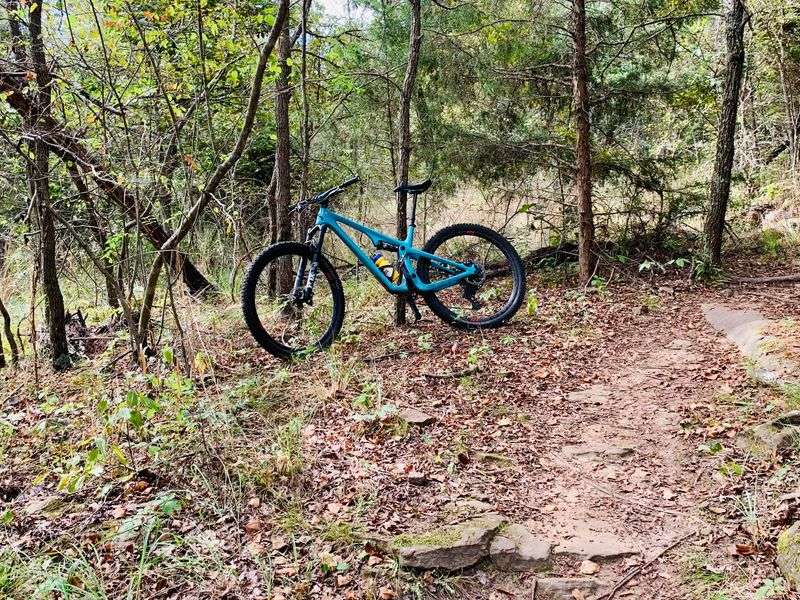 Mountain Biking Through Technical Terrain