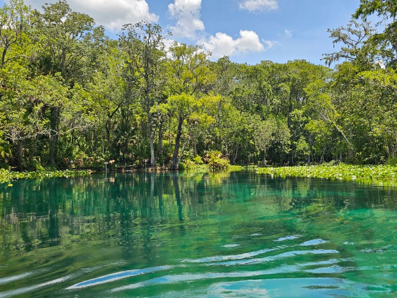 Silver Springs State Park