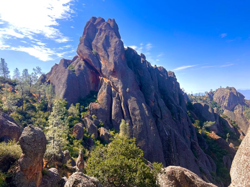 Pinnacles National Park, condors and crowd aware loops