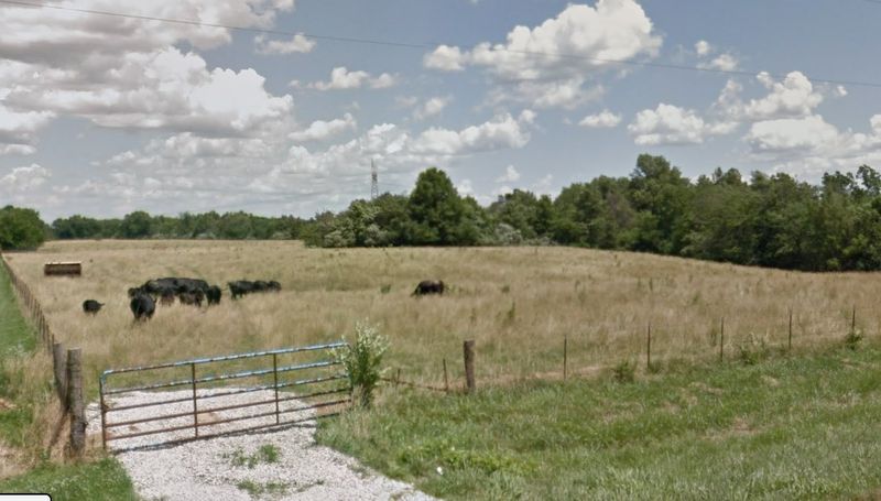 A Country Christmas Gathering at Sweet Freedom Farm (Black Hawk)