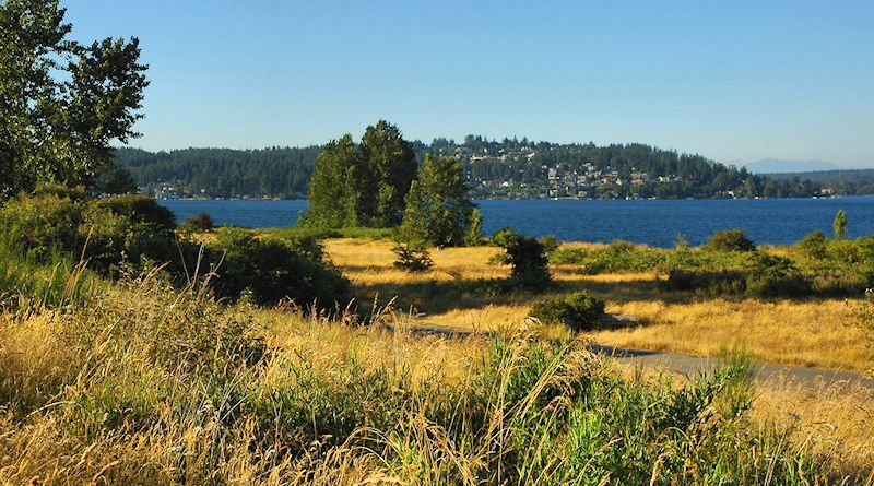 Magnuson Park Meadows in Seattle