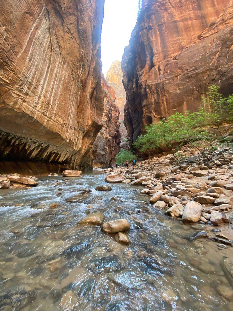 The Narrows in Zion National Park