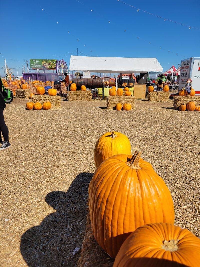 Seasonal Changes and Regional Festivals Reward Flexible Timing
