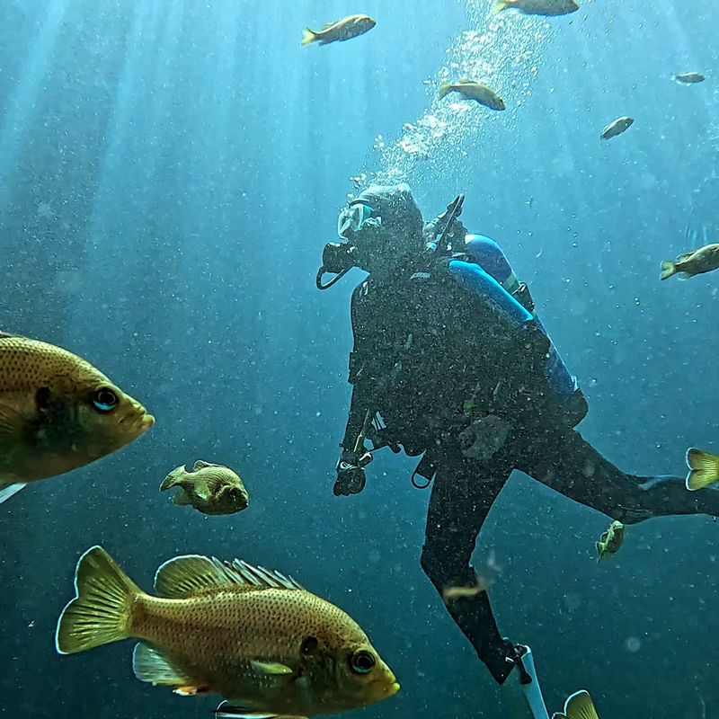 Capture respectful photos without disturbing the scene