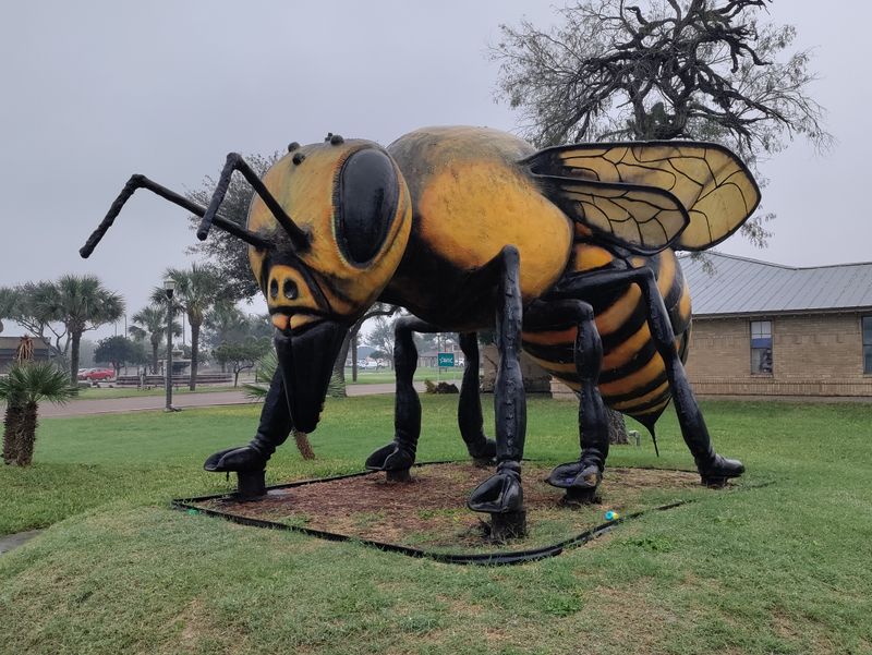 The World's Largest Killer Bee