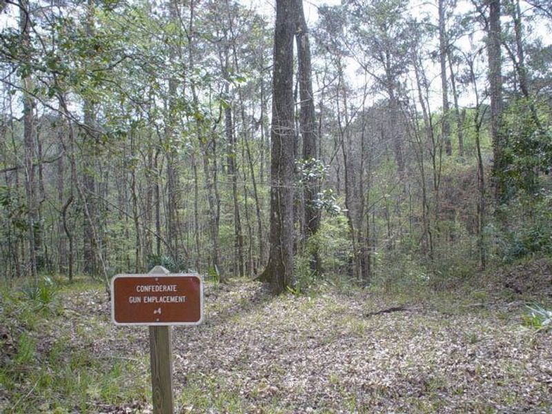 Hiking the Ancient Trails of Torreya State Park