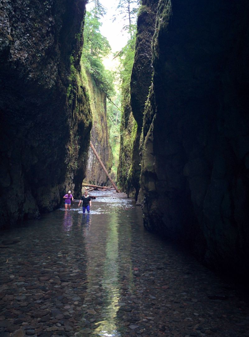 Shadow Figures Block the Exit