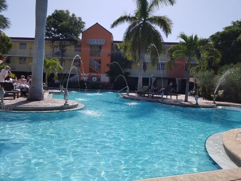 Noise and Visual Clutter Crowd the Senses