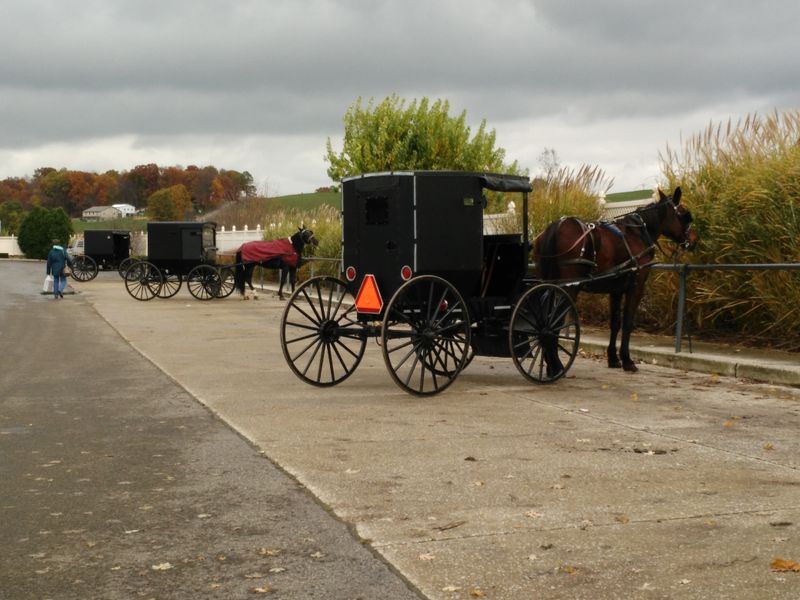 Share The Road With Buggies Safely