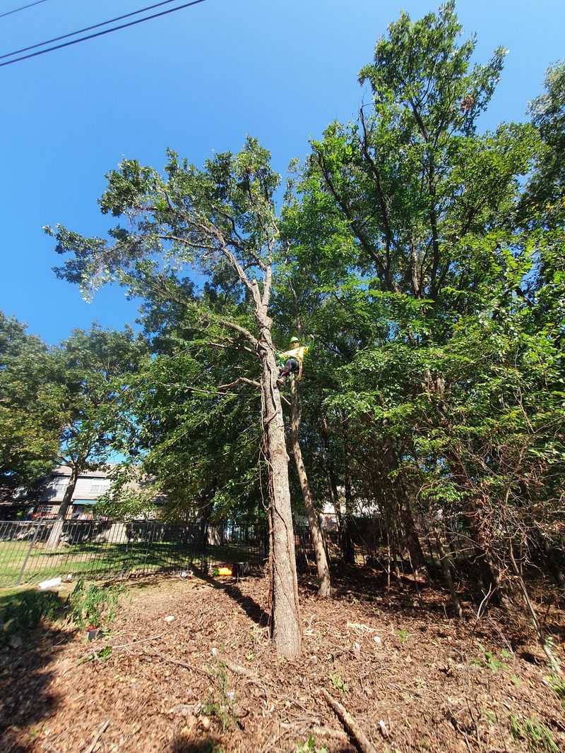 Skyline And Indian Nations Park Near Jenks