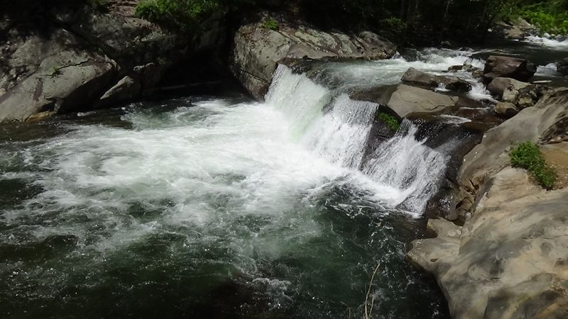 The Tellico River Runs Clear and Wild