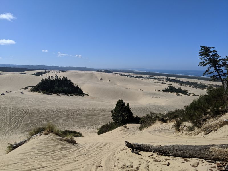 Explore the Oregon Dunes National Recreation Area, 855 Highway 101 Reedsport, OR 97467