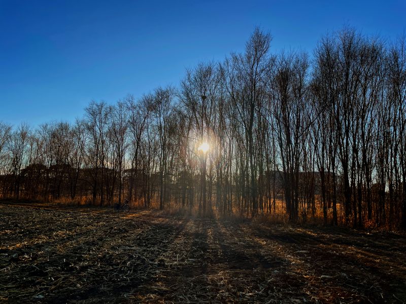 Assuming There's Nothing to Do in Winter