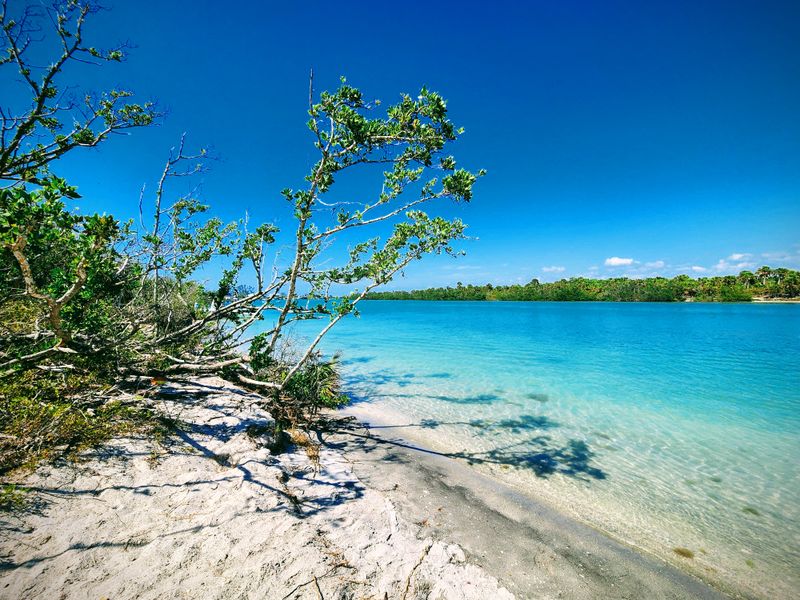 Dune Plants Like Sea Oats Are Protected By State And Local Law